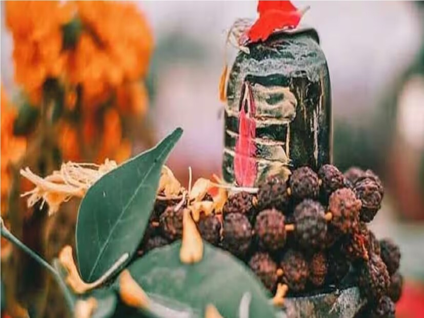 আপনি কি কখনও ভেবে দেখেছেন কেন এই শ্রাবণ মাসে বেশি শাকসবজি এবং হালকা খাবার যেমন সাবুদানা, খিচুড়ি ইত্যাদি খাই? হিন্দু ধর্মগ্রন্থগুলিতে একটি মহান তাৎপর্য থাকার পাশাপাশি, ভগবান শিব এবং 'অমৃত মন্থন' গল্পের সঙ্গে সম্পর্কিত কিছু বৈজ্ঞানিক শক্তির দিকেও নির্দেশ করে যা এখনও বহু বছরের পুরনো রীতিকে প্রাসঙ্গিক রেখেছে৷ Photo- Representative