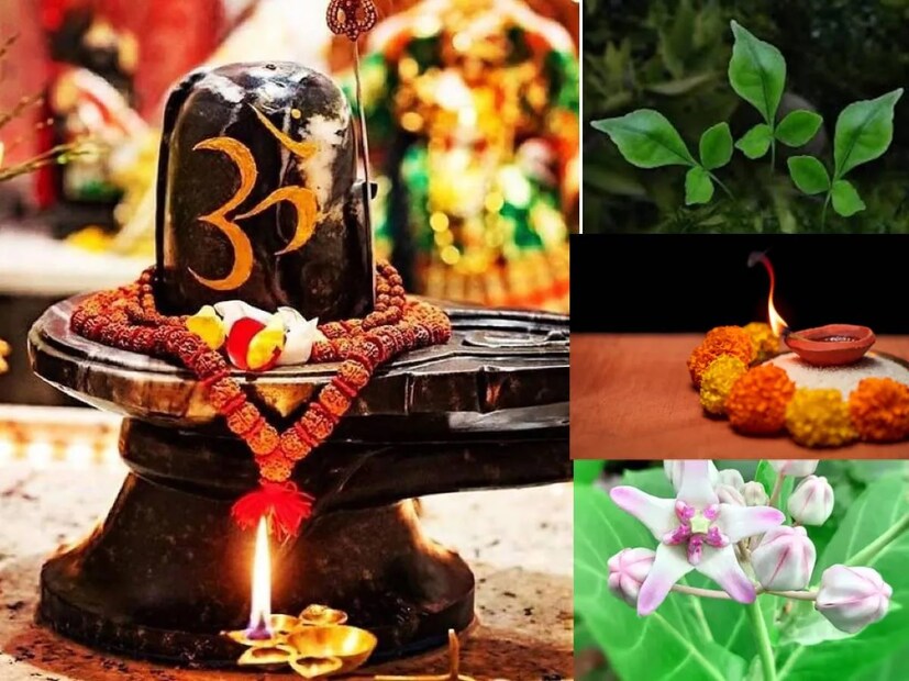 শাস্ত্র অনুসারে এই পুরো ঘটনাটি ঘটেছিল শ্রাবণ মাসে এবং সেই কারণেই ভক্তরা উপবাস করেন এবং শিবলিঙ্গে 'গঙ্গা জল' নিবেদন করেন। এই সময়ে ভগবান শিবের প্রিয় সাত্ত্বিক খাবার গ্রহণ করলে এটি অত্যন্ত ফলদায়ক বলে বিবেচিত হয়। Photo- Representative