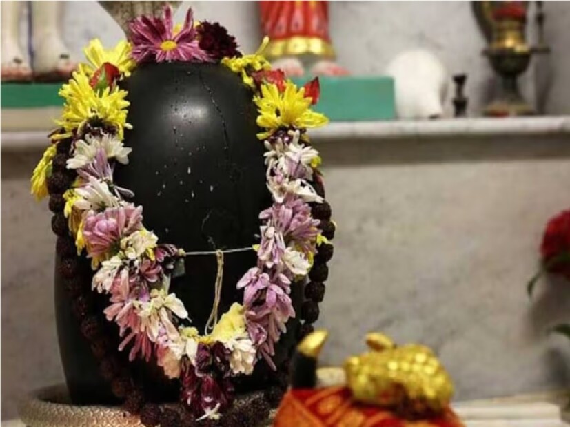 ধর্মীয় কারণরাখি, তিজ, কৃষ্ণ জন্মাষ্টমী, নাগ পঞ্চমী ইত্যাদির মতো একাধিক হিন্দু উৎসব এই ঋতুতে পড়ে। সেই কারণেই গোটা মাসেই হিন্দু ধর্মাবলম্বীদের একটি বড় অংশ আমিষ খান না৷ Photo- Representative