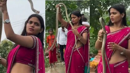 সাহসিকতায় বশ মানে বিষধরও, রূপে-গুণে বাড়ে ফলোয়ারের সংখ্যা, শাড়ি পরে সাপ ধরার নৈপুণ্যে মজেছে নেটদুনিয়া সাহসিকতায় বশ মানে বিষধরও, রূপে-গুণে বাড়ে ফলোয়ারের সংখ্যা, শাড়ি পরে সাপ ধরার নৈপুণ্যে মজেছে নেটদুনিয়া