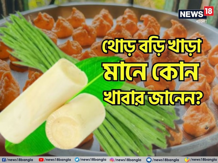 সাধারণত একঘেয়েমি বা বৈচিত্রহীন কোনও কিছু বোঝাতে ব্যবহার হয় এই বাংলা প্রবাদ ‘থোড় বড়ি খাড়া, খাড়া বড়ি থোড়’। কিন্তু কখনও ভেবেছেন এটি এল কোথা থেকে? (Disclaimer: এই প্রতিবেদনটি কেবলমাত্র সাধারণ তথ্যের জন্য, তাই বিস্তারিত জানতে হলে সর্বদা বিশেষজ্ঞের পরামর্শ নিন।)