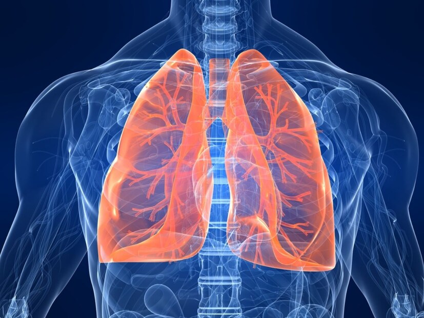 বেশ কিছু কারণে ফুসফুসে (Lungs) ভরে যাচ্ছে বিষ (Toxins)। আসুন জানা যাক কেন ফুসফুসে সমস্যা হয়-১. বায়ু দূষণ ২. ধূমপান ৩. খারাপ কেমিক্যাল ও ধুলোর থেকে সমস্যা। বেশিরভাগ ক্ষেত্রে কাজ করতে গিয়েই মানুষ এই সমস্যায় পড়েন। ৪. নিয়মিত ঠান্ডা ও শুষ্ক বাতাসে থাকা।