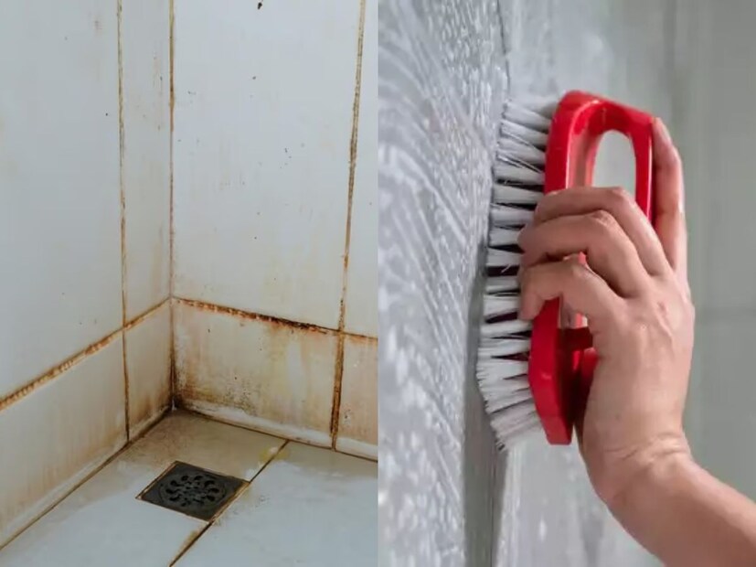 বাথরুমের টাইলস পরিষ্কার এবং চকচকে রাখা প্রত্যেকের জন্য একটি চ্যালেঞ্জিং কাজ। টাইলসের উপর জলের দাগ, সাবানের দাগ ও ময়লা জমে যাওয়ার কারণে এগুলো অপরিচ্ছন্ন দেখাতে শুরু করে। 