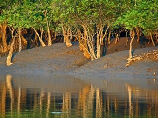 সুন্দরবন