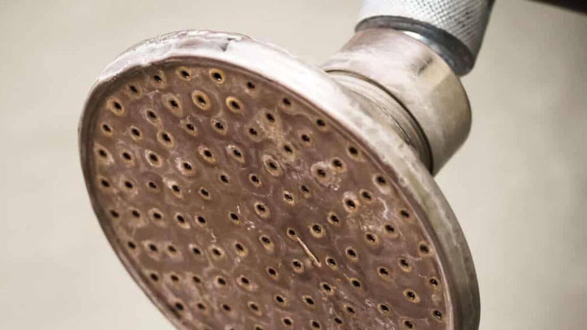 bathroom cleaning how to clean bathroom shower at home remedies to ...