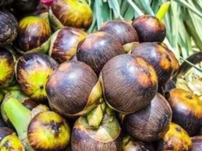 শরীরের জন্য উপকারী ভিটামিন সি ও বি কমপ্লেক্স মেলে এতে। রোগ প্রতিরোধ ক্ষমতা শক্তিশালী হয় ফলটি খেলে।লিভারের সমস্যা দূর করতে সাহায্য করে তাল। এটি লিভার থেকে ক্ষতিকর  ও দূষিত পদার্থ বের করে দেয়।
তাল শরীরের কোষের ক্ষয় প্রতিরোধ করে।
