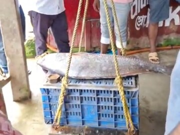এ কী কাণ্ড ঘটে গেল দিঘায়! কার দেখা মিলল! দূরদূর থেকে ছুটে এল মানুষ