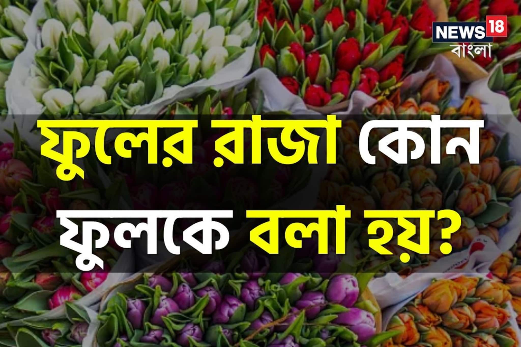 ফুলের রানি তো গোলাপ! বলুন তো ফুলের রাজা কী? নাম শুনলে আবাক হবেন কিন্তু