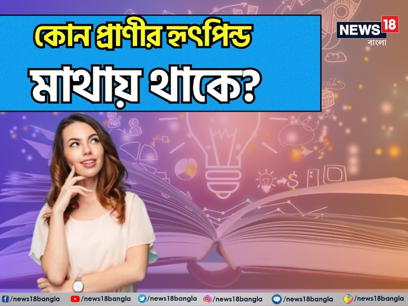 বলুন তো, কোন প্রাণীর হৃৎপিন্ড মাথায় থাকে? এই প্রাণীটি আমাদের সকলেরই খুবই পরিচিত। বাঙালির হেঁশেলে খুব পরিচিত ও নানারকনের সুস্বাদু পদও হয়ে থাকে এই প্রাণীটিকে দিয়ে। 