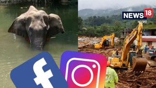 ভূমিধসে তছনছ ওয়ানাডের গ্রামেই কি বাজিভর্তি আনারস খাইয়ে গর্ভবতী সেই হাতির খুন হয়েছিল?