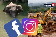 ভূমিধসে তছনছ ওয়ানাডের গ্রামেই কি বাজিভর্তি আনারস খাইয়ে গর্ভবতী হাতির খুন হয়েছিল?