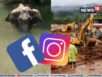 ভূমিধসে তছনছ ওয়ানাডের গ্রামেই কি বাজিভর্তি আনারস খাইয়ে গর্ভবতী সেই হাতির খুন হয়েছিল?