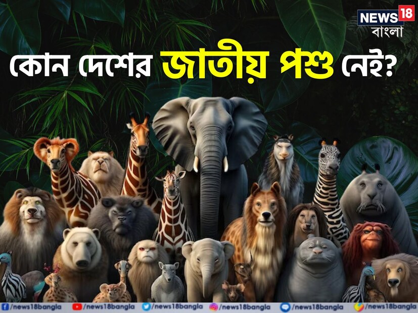 প্রতিটি দেশই নির্দিষ্ট একটি প্রাণীকে তাদের জাতীয় পশু নির্বাচন করে। বলুন তো, পৃথিবীর কোন দেশের কোনও জাতীয় পশু নেই? এর উত্তর দিতে গিয়ে ৯৯ শতাংশ মানুষ ভুল করে।