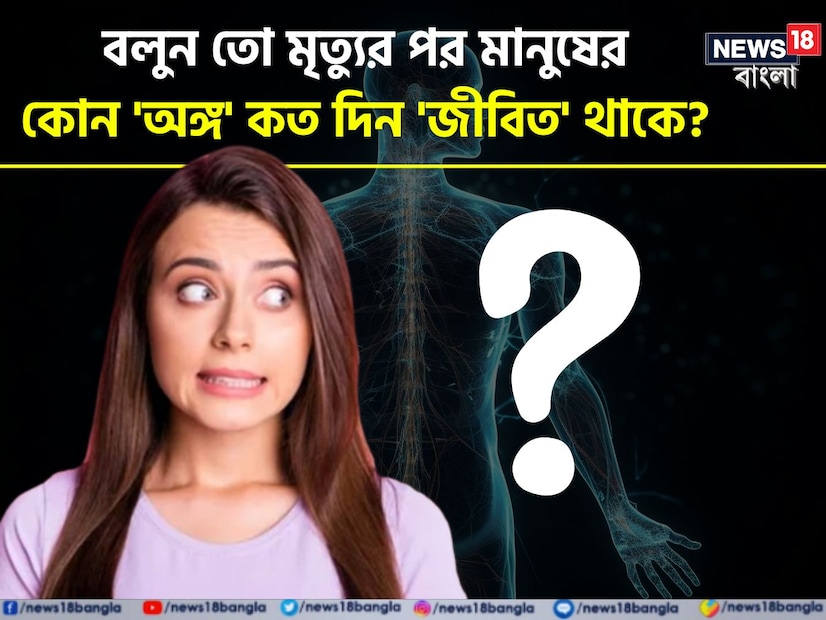 সাধারণ জ্ঞান প্রতি পদে পদে আমাদের অবাক করে। জেনারেল নলেজ বা জিকের পরিধিতে যেমন থাকে দেশ বিদেশের নানা অজানা তথ্য, তেমনই জ্ঞান বিজ্ঞানের আশ্চর্য সব জ্ঞান। আজ এমনই এক বিষয় নিয়ে অবাক করা তথ্য জেনে নেওয়া যাক এই প্রতিবেদনে।