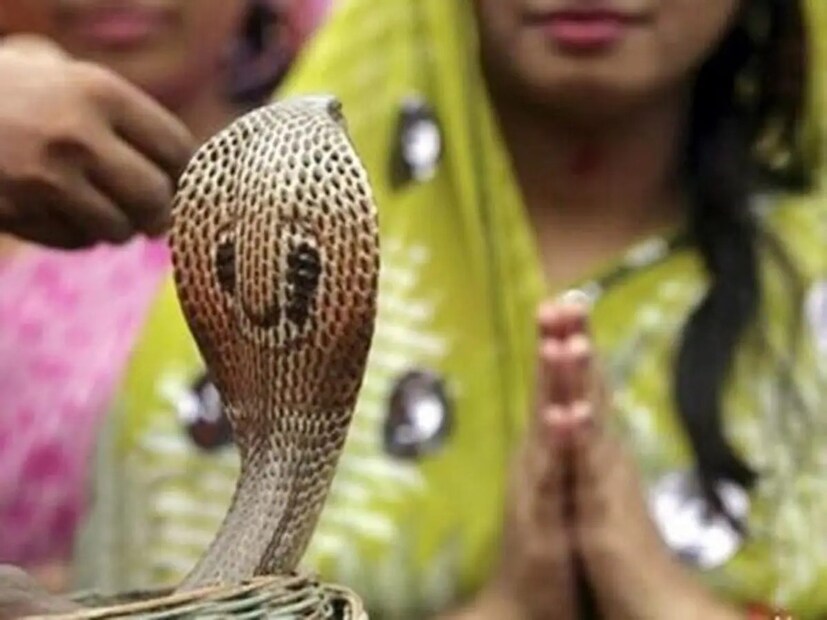 নাগপঞ্চমী তিথিতে কিছু রাশির জাতক জাতিকাদের জীবন আমূল পরিবর্তিত হতে চলেছে৷ কারণ তাঁদের উপর বর্ষিত হতে চলেছে সৌভাগ্যের আশীর্বাদ৷ বলেছেন জ্যোতিষ বিশারদ পণ্ডিত রাজকুমার শাস্ত্রী৷