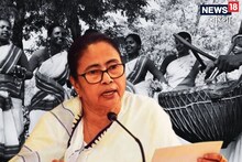 শিলিগুড়ির পরে নতুন টাইগার সাফারি বঙ্গে! আদিবাসী দিবসে সুখবর দিলেন মমতা