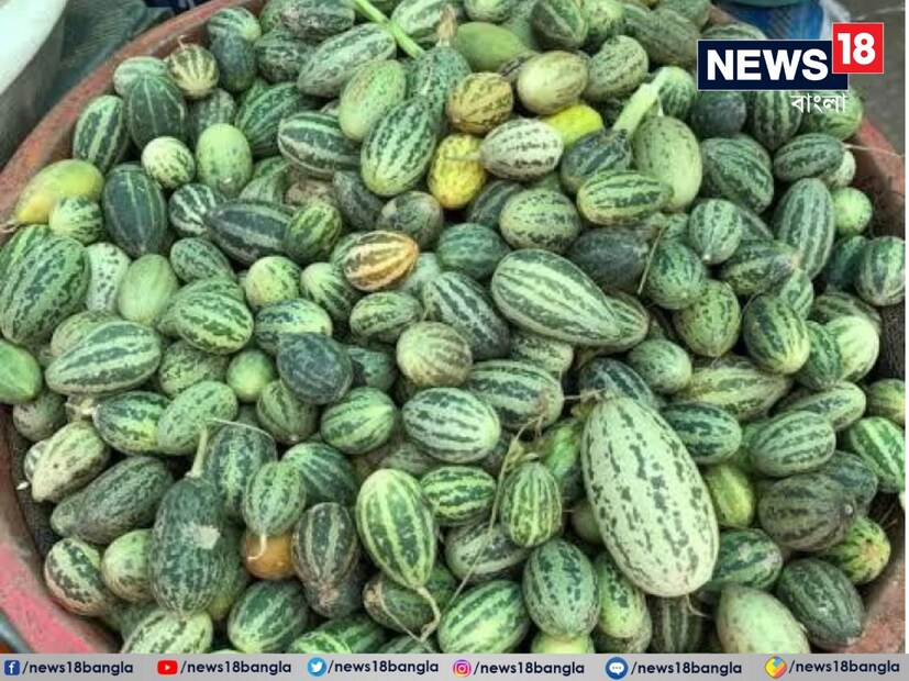 কাচরি ডায়াবেটিস রোগীদের জন্যও উপকারী বলে মনে করা হয়। কাচরি খেলে রক্তে শর্করার পরিমাণও নিয়ন্ত্রণে থাকে।