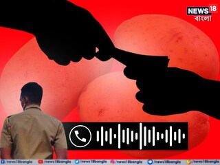 মামলার নিষ্পত্তি করতে সাব-ইন্সপেক্টর যা ঘুষ চাইলেন...ভাইরাল অডিওতে সব ফাঁস 
