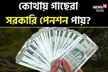 GK: গাছও পায় সরকারি পেনশন! কোথায় বলুন তো? রয়েছে এদেশেই