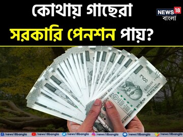 GK: গাছও পায় সরকারি পেনশন! কোথায় বলুন তো? রয়েছে এদেশেই