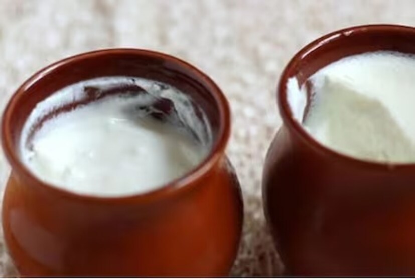 দুধ, টকদই, চিজের সঙ্গে উচ্ছে বা করলা খাওয়াই যাবে না। দুধের ক্রিমি স্বাদের সঙ্গে করলার তিক্ততা মোটেও উপভোগ্য নয়।