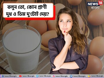 বলুন তো, এমন কোন প্রাণী দুধ ও ডিম দু'টোই দেয়? ৯৯% উত্তর দিতে গিয়ে ডাহা ফেল!