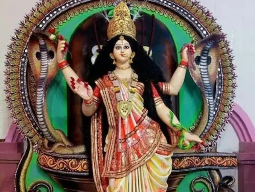 পুজোর নৈবেদ্য সাজিয়ে দেওয়া হয় কলাপাতায় বা কচুপাতায়। সব মিলিয়ে এই ৭ রকম পাতা মনসাদেবীর পুজোয় অবিচ্ছেদ্য অঙ্গ।