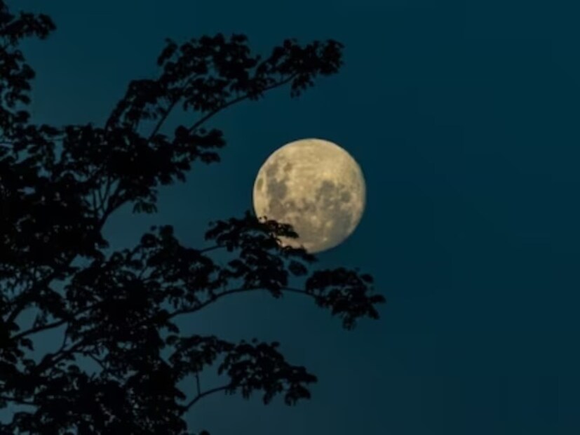 বছরের একাদশতম শুক্ল পূর্ণিমা বাংলার কার্তিক মাসে বুধবার ৫ নভেম্বর ২০২৫ সালে। প্রতীকী ছবি