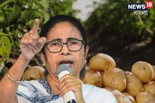 আলু যাবে ভিনরাজ্যে, ছাড়পত্র মমতার! দাম নিয়ন্ত্রণেও বিশেষ ঘোষণা মুখ্যমন্ত্রীর