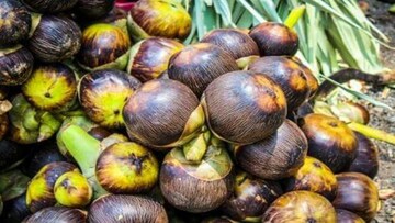 শুধু শ্রাবণ-ভাদ্র মাসে পাওয়া যায়! রসালো এই ফল গুণের সিন্দুক!