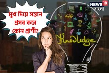 মুখ দিয়ে সন্তান প্রসব করে কোন প্রাণী? উত্তর জানলে আপনিও চমকে দিতে পারবেন বাকিদের