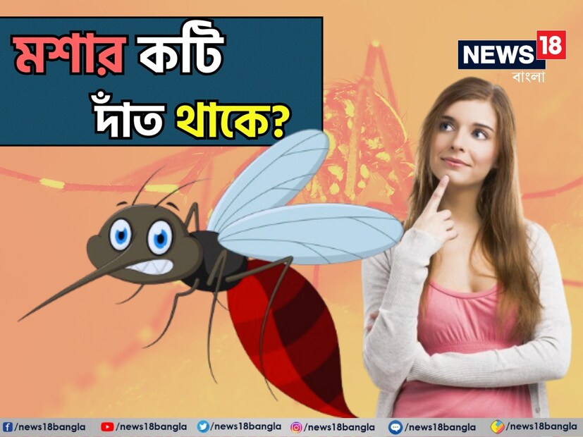 বর্ষাকালে মশা নিয়ে আতঙ্ক সকলের রয়েছে। ডেঙ্গি, ম্যালেরিয়া সহ একাধিক রোগের বাহক মশা। কিন্তু মশার মোট কতগুলি দাঁত রয়েছে? এর উত্তর অনেকের অজানা।