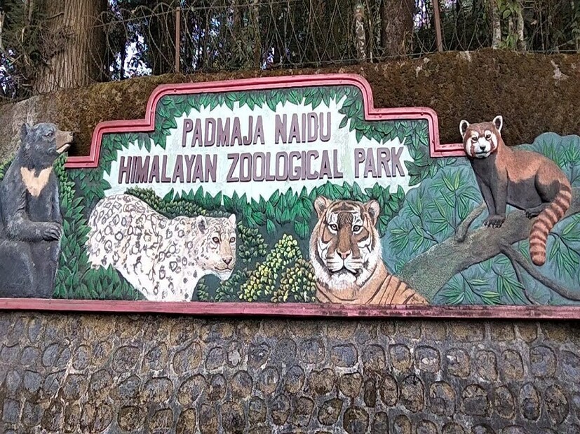 এই চিড়িয়াখানার অধীনে থাকা তোপকেদাড়া প্রজনন কেন্দ্রে এই চারটি রেড পান্ডা এবং দুটি স্নো লেপার্ডের জন্ম হয়েছে। গত জুলাই মাসের শেষের দিকে রেড পান্ডা দম্পতি নিক্কি এবং প্রন্ন চার শাবকের জন্ম দিয়েছে ৷ প্রায় একই সময়ে স্নো লেপার্ড রাহানা দুই শাবকের জন্ম দিয়েছে ৷