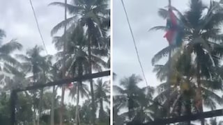 পাখি এসে খুলে দিল আটকে থাকা তেরঙ্গা! পুষ্পবৃষ্টি, ভাইরাল ভিডিও স্বাধীনতা দিবসের পাখি এসে খুলে দিল আটকে থাকা তেরঙ্গা! পুষ্পবৃষ্টি, ভাইরাল ভিডিও স্বাধীনতা দিবসের