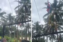 পাখি এসে খুলে দিল আটকে থাকা তেরঙ্গা! পুষ্পবৃষ্টি, ভাইরাল ভিডিও স্বাধীনতা দিবসের,