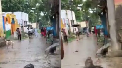 ভাইরাল ভিডিওর একটি দৃশ্য।- ছবি- এক্স ভাইরাল ভিডিওর একটি দৃশ্য।- ছবি- এক্স