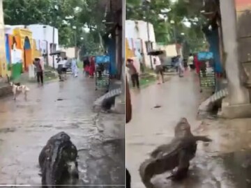 ভাইরাল ভিডিওর একটি দৃশ্য।- ছবি- এক্স