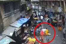 পাঁচ তলা থেকে নীচে পড়ল গোল্ডেন রেট্রিভার, মৃত ১ শিশু, দেখুন সেই ভয়ঙ্কর ভিডিও