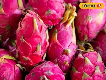 পথ দেখাচ্ছে মাড়গ্রাম, আর নয় চেনা ফলের চাষ, ড্রাগন ফল চাষেই চাষিদের রমরমা