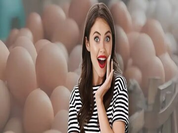 পশ্চিমবঙ্গে এত ডিম খাওয়া হয়,কিন্তু সবচেয়ে বেশি ডিম উৎপাদন কোন রাজ্যে হয় বলুন তো?