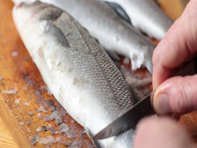 এবার বিকল্প আয়ের পথ দেখাতে পারে মাছের আঁশ। মাছের আঁশ সাধারণত বর্জ্য হিসেবে বিবেচনা করে ফেলে দেওয়া হয়। সেই ফেলে দেওয়া আঁশ শুকিয়ে বাজারজাত করে লাভবান হতে পারেন আপনি। এবার বিকল্প আয়ের পথ দেখাতে পারে মাছের আঁশ। মাছের আঁশ সাধারণত বর্জ্য হিসেবে বিবেচনা করে ফেলে দেওয়া হয়। সেই ফেলে দেওয়া আঁশ শুকিয়ে বাজারজাত করে লাভবান হতে পারেন আপনি।