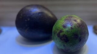 কলা নয়, আপেল নয়! পুজোর ডালায় এ কোন ফল? 