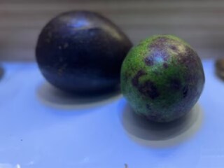 কলা নয়, আপেল নয়! পুজোর ডালায় এ কোন ফল? 