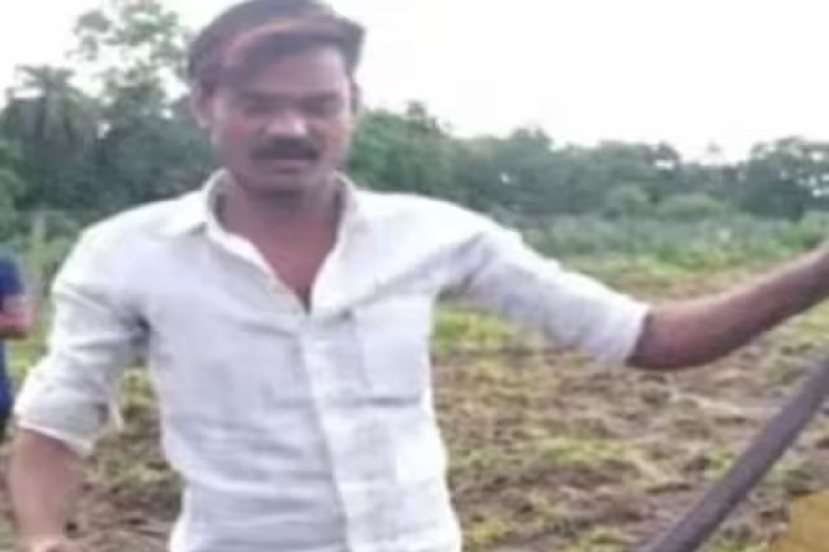 অবাক কাণ্ড! সাপের কামড়ে মানুষের মৃত্যু নয়, যুবককে কামড়ে মারা গেল ৫ ফুটের কোবরা অবাক কাণ্ড! সাপের কামড়ে মানুষের মৃত্যু নয়, যুবককে কামড়ে মারা গেল ৫ ফুটের কোবরা