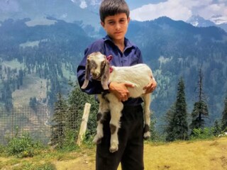 মানুশ তার তোলা ছবির নাম দেয় "The gaddi boy and his goat"
