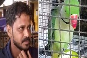মাঝরাতে তোতাপাখি যা করল...ওয়ানাড ধসে তাতেই রক্ষা পেল এই পরিবার! জানলে অবাক হবেন