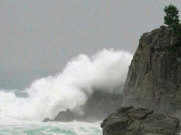 দশ বছরেররও বেশি সময় ধরে নিখোঁজ স্ত্রীকে খুঁজে পাওয়ার আশায় প্রতি সপ্তাহে জলে ডুব দেন তিনি৷ দশ বছরেররও বেশি সময় ধরে নিখোঁজ স্ত্রীকে খুঁজে পাওয়ার আশায় প্রতি সপ্তাহে জলে ডুব দেন তিনি৷