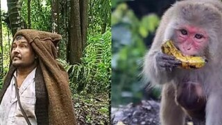 বানর তাড়ালেই মিলবে কুড়ি হাজার টাকা।