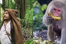 বাঁদর তাড়ালেই মিলবে নগদ! কাজের সুযোগ দিচ্ছে এই গ্রাম! জানলে অবাক হবেন