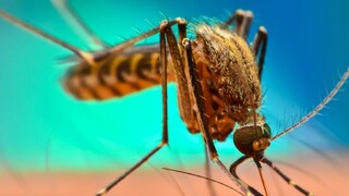 প্রতীকী ছবি প্রতীকী ছবি